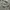 Jaket Parka Vintage Army Militer - Yeou Ya Bj  photo 3