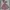 Salmon Pink Smocked Off Shoulder Jumpsuit Pendek Sabrina