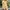 Urban Outfitters BDG Renee Coverall Jumpsuit 