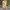 Urban Outfitters BDG Renee Coverall Jumpsuit  photo 3