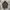 Military Parka - Codes Combine
