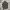 Military Parka - Codes Combine