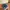 Adidas Streetwear Sportswear Sneakers Pria Blue