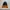quechua gorpcore outdoot jacket #SPJK63 photo 2
