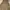 Vintage Minimalist Summer Dress Wanita Multicolor Green Tan