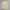 CAMEL TROPHY Adventure Polo Zip – Explorer Series photo 6