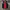 Pakaian Adat Vest Pria Red Black