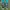 Adidas Streetwear Sneakers Pria green photo 5