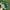 Adidas Streetwear Sneakers Pria green photo 3