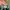 Adidas Streetwear Sneakers Pria green photo 8