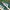 Adidas Streetwear Sneakers Pria green photo 2