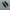 Asics Novablast 4 Black Volt photo 2