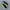 Asics Novablast 4 Black Volt