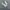 Asics Novablast 4 Cool Gray All Around photo 2