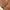 Minimalist Casual Fur coat Wanita brown photo 3