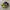 Nike TN Patta Barcelona Yellow Blue Sneakers
