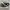 Converse Chuck Taylor All Star 70S High Black White Non Egre