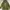 Blackyak jaket parka outdoor waterproof GORE-TEX (used) photo 5