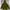 Blackyak jaket parka outdoor waterproof GORE-TEX (used) photo 10
