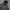Moncler Puffer Jacket Inner Sherpa Dark Grey Colour (Hoodie  photo 4