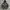 Moncler Puffer Jacket Inner Sherpa Dark Grey Colour (Hoodie  photo 2