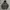 Moncler Puffer Jacket Inner Sherpa Dark Grey Colour (Hoodie 