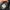 Moncler Puffer Jacket Inner Sherpa Dark Grey Colour (Hoodie  photo 9