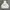Big Logo Nike Backprint Classic Boxy Padded/Puffer Jacket photo 1