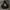 Maison Kitsune x Olympia Le Tan Photograph Relaxed Hoodie photo 1