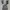 CELANA JINS RIPPED JAPAN BLUE BEVERLY photo 5