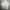 Champion Reverse weave White Zip Hoodie photo 8