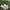 Salomon Gorpcore Sportswear Sneakers Pria white black gray photo 1