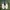 Salomon Gorpcore Sportswear Sneakers Pria white black gray photo 7