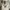 Braun Buffel Khaki Shoulder Bag photo 3
