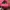 Vintage Hat Pria white red photo 2