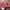 Vintage Hat Pria white red photo 6