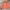 The North Face Goth Puffer jacket Pria orange photo 6