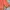 The North Face Goth Puffer jacket Pria orange photo 4
