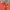 The North Face Goth Puffer jacket Pria orange photo 7
