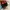 Nike Air Max Plus TN Drift photo 8
