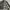 Detroit Jacket not Carthart boxy fit duck canvas jaket  photo 6