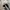 Converse Chuck Taylor All Star 70S High Black White Original photo 6