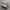 adidas superstar photo 1