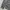 Uniform Experiment Check Flannel Shirt photo 8