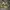 Vtg 90s Stussy Outdoor All Season Gear Camouflage  photo 1