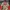Vtg 90s Stussy Outdoor All Season Gear Camouflage  photo 8