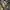 Vtg 90s Stussy Outdoor All Season Gear Camouflage  photo 5