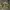 Vtg 90s Stussy Outdoor All Season Gear Camouflage  photo 2
