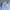 Danton Round Collar Pullover Shirt photo 3
