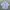 Danton Round Collar Pullover Shirt